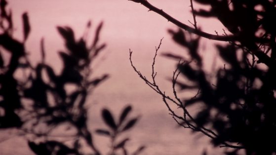 Lost and Forgotten by August Lion